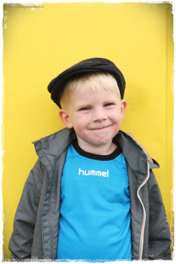 26-www.skreytumhus.is-028 (FILEminimizer)