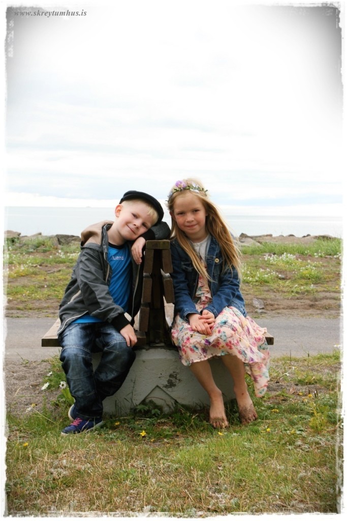 28-www.skreytumhus.is (FILEminimizer)