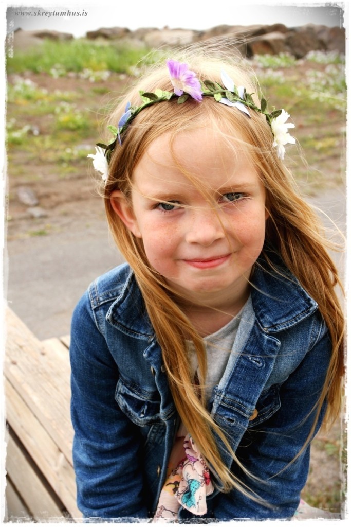 30-www.skreytumhus.is-030 (FILEminimizer)