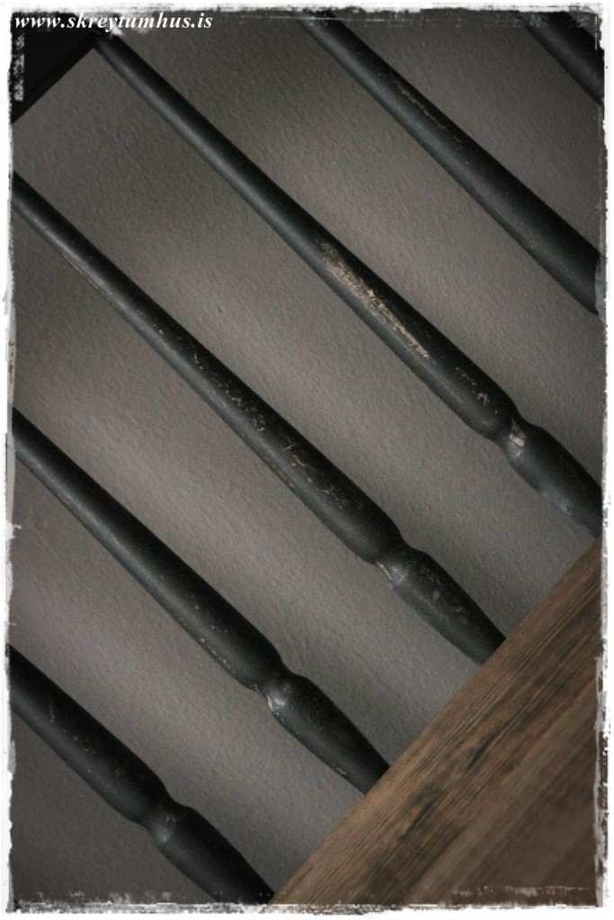 30-www.skreytumhus.is-041