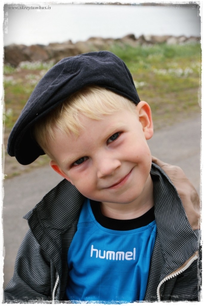 31-www.skreytumhus.is-031 (FILEminimizer)