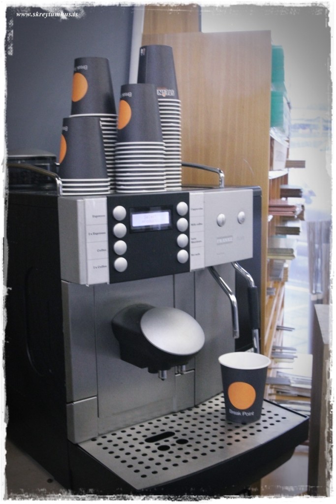 31-www.skreytumhus.is-042 (FILEminimizer)