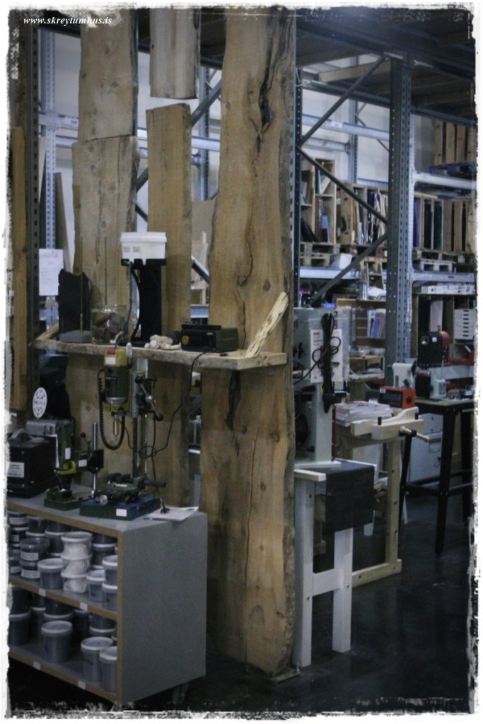 37-www.skreytumhus.is-048 (FILEminimizer)