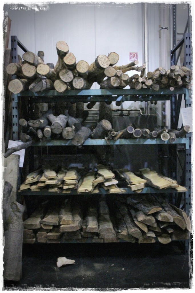 38-www.skreytumhus.is-049 (FILEminimizer)