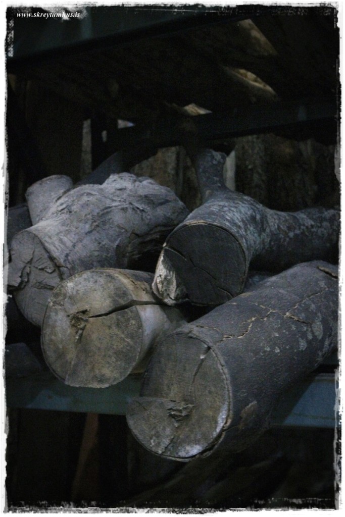 39-www.skreytumhus.is-050 (FILEminimizer)