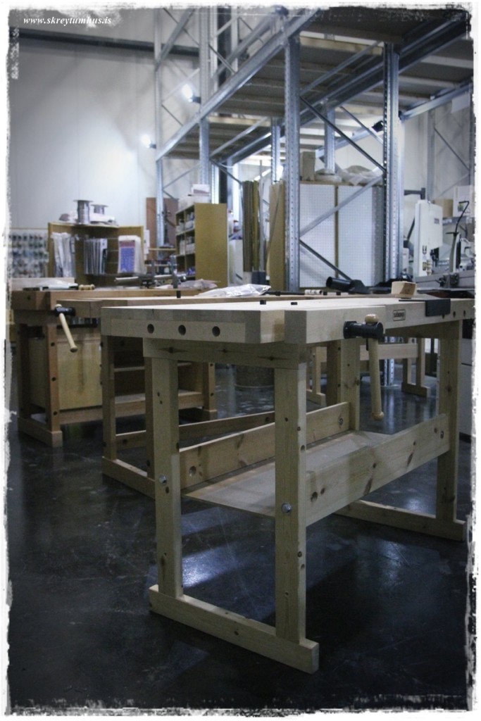 40-www.skreytumhus.is-051 (FILEminimizer)