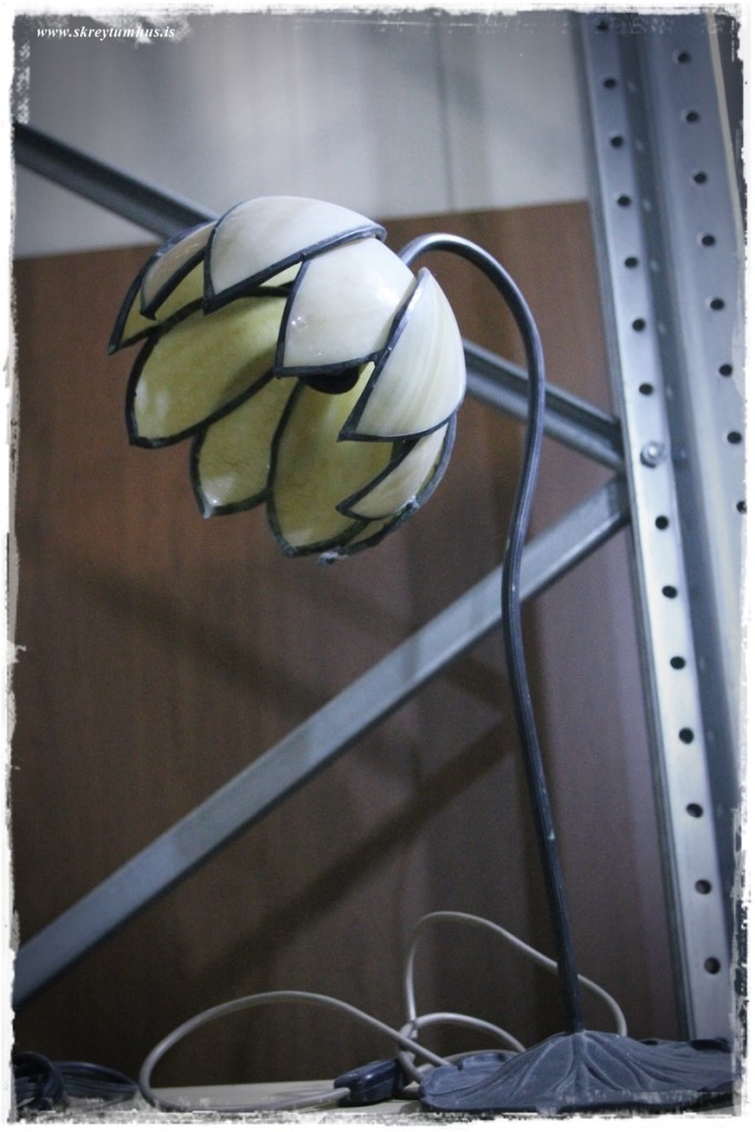 45-www.skreytumhus.is-056 (FILEminimizer)