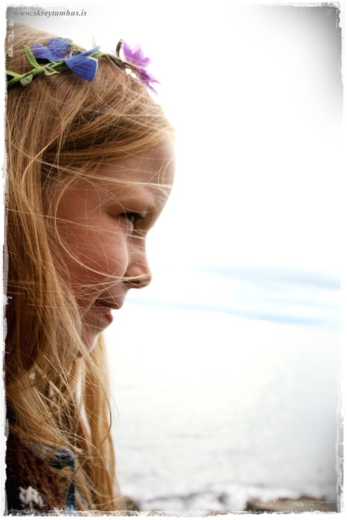 48-www.skreytumhus.is-048 (FILEminimizer)