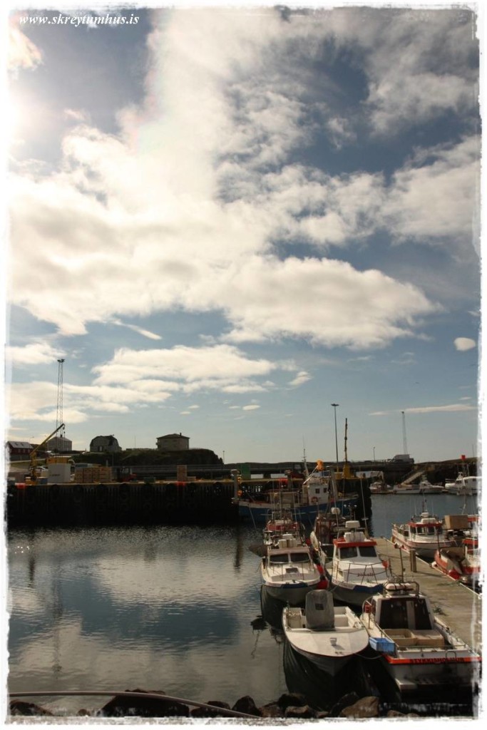 www.skreytumhus.is-051