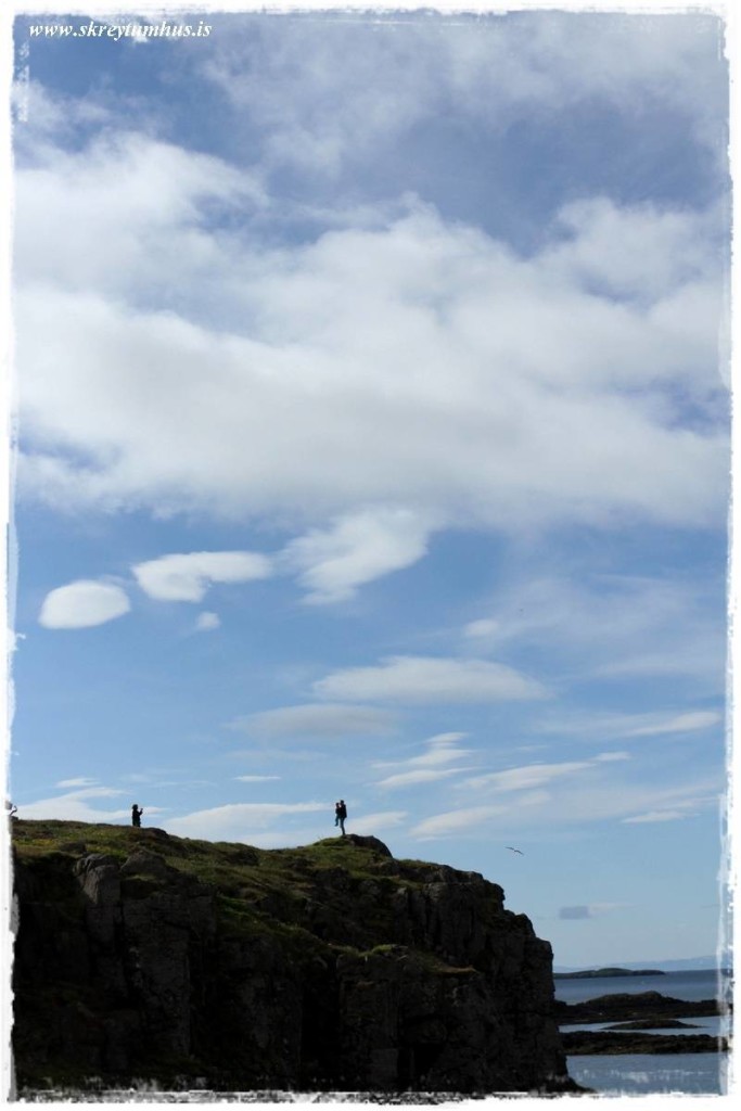 www.skreytumhus.is-056