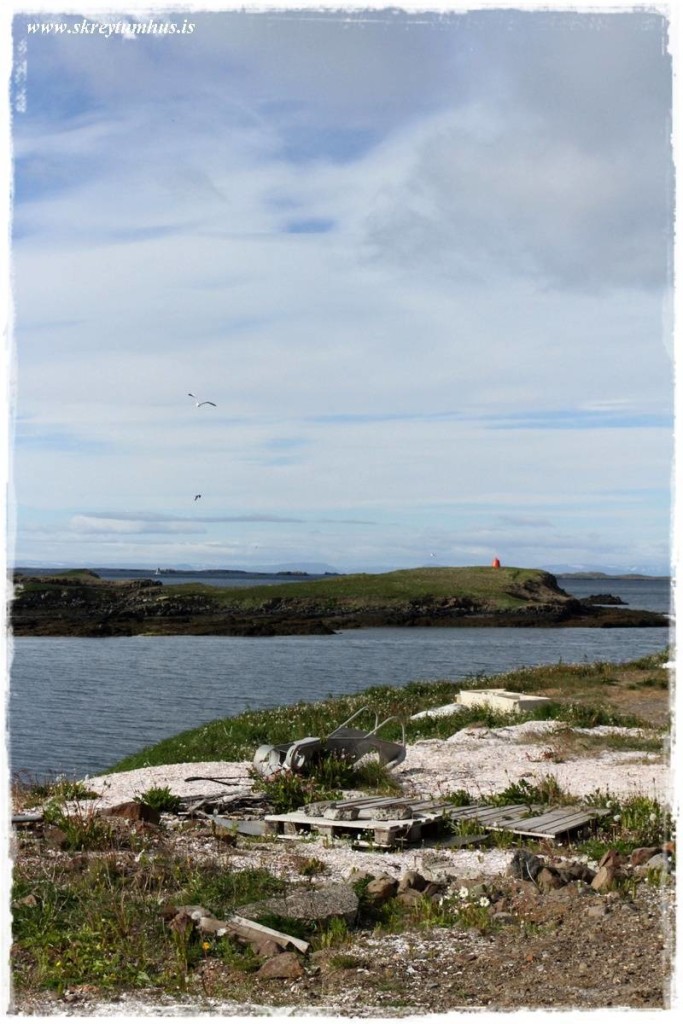 www.skreytumhus.is-070