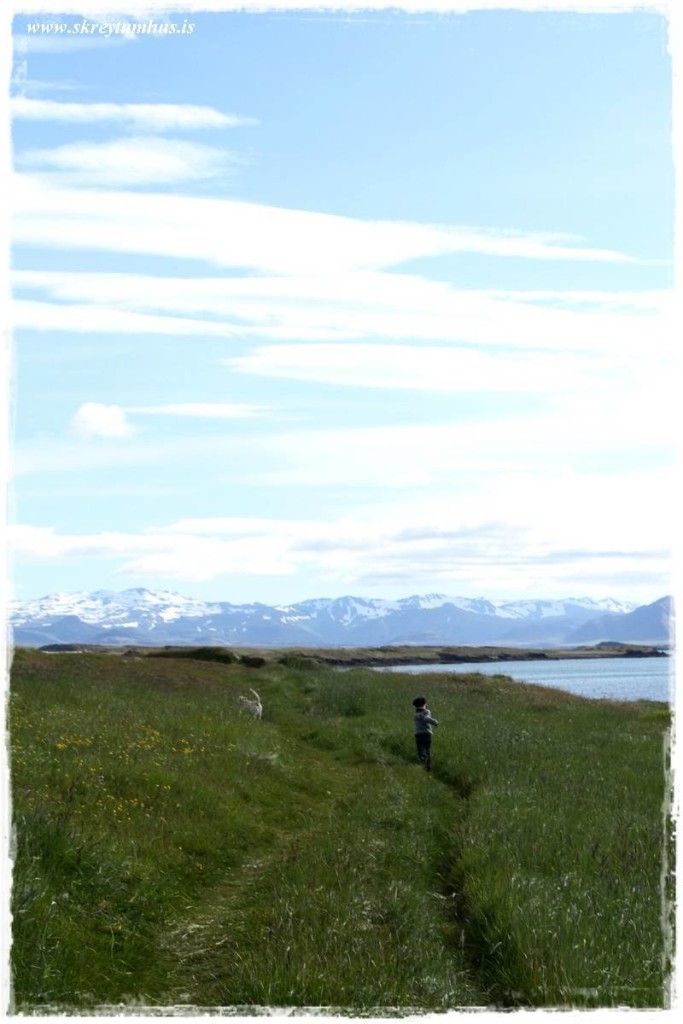 www.skreytumhus.is-075