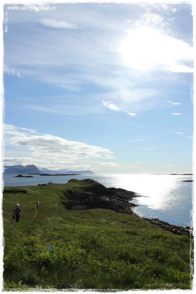 www.skreytumhus.is-077