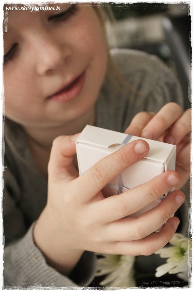 02-www.skreytumhus.is-001 (FILEminimizer)