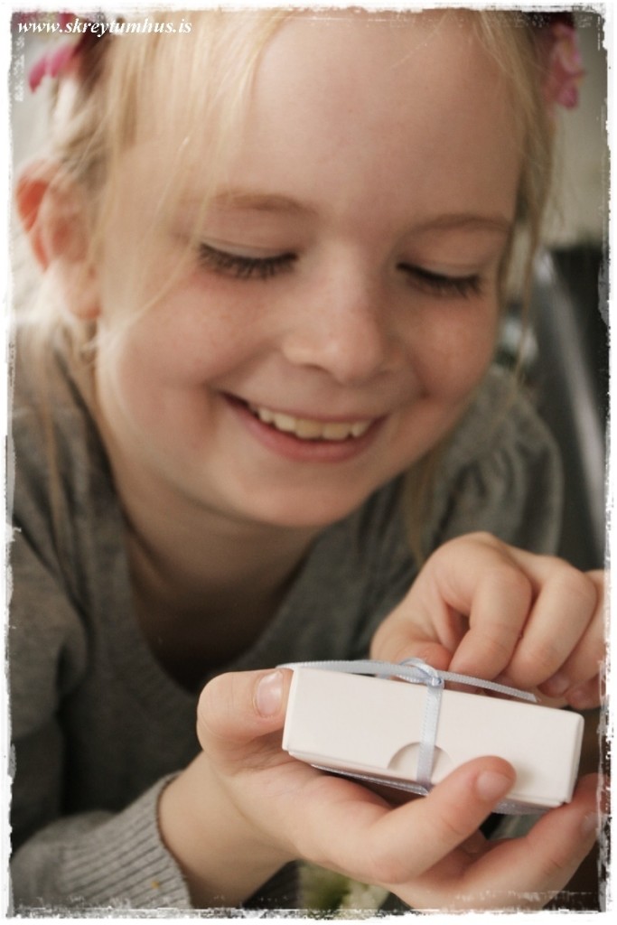 03-www.skreytumhus.is-002 (FILEminimizer)