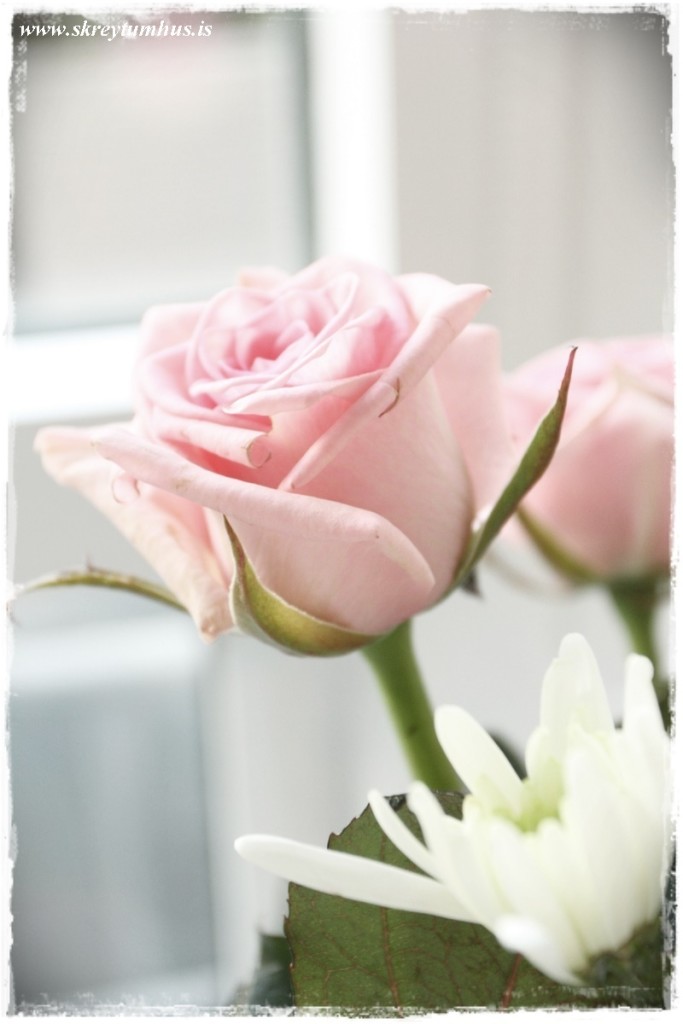 04-www.skreytumhus.is-003 (FILEminimizer)