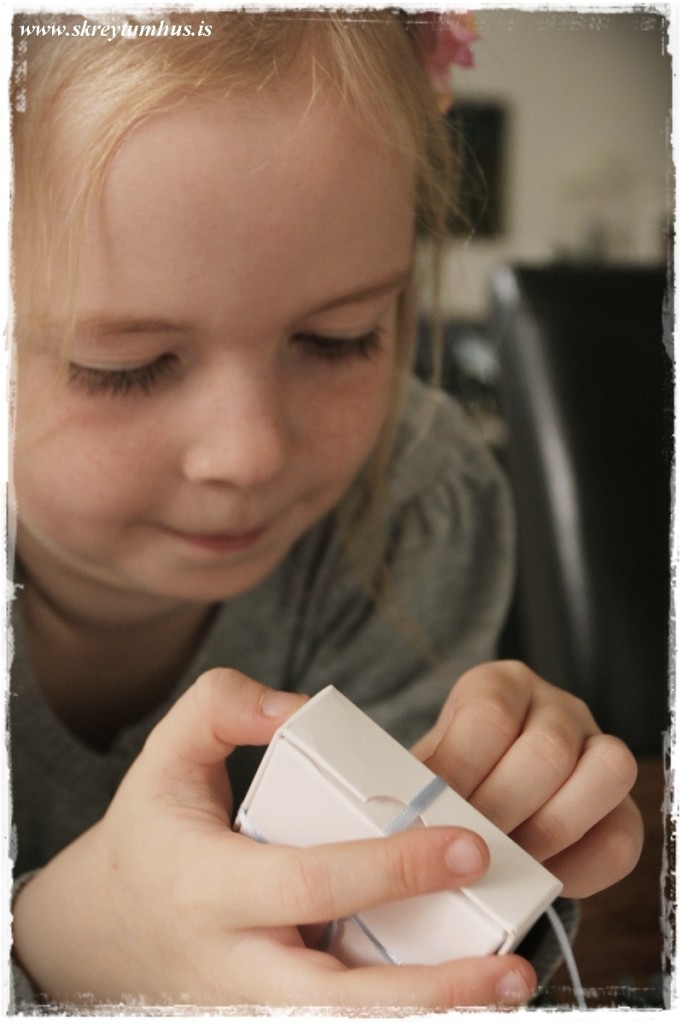 04-www.skreytumhus.is-003 (FILEminimizer)