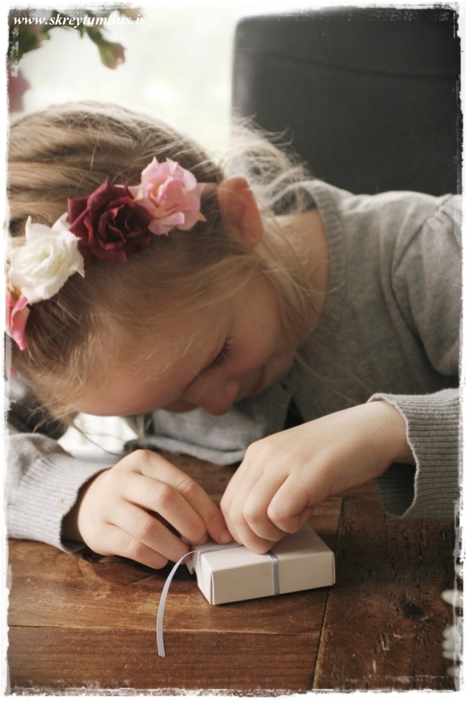 05-www.skreytumhus.is-004 (FILEminimizer)