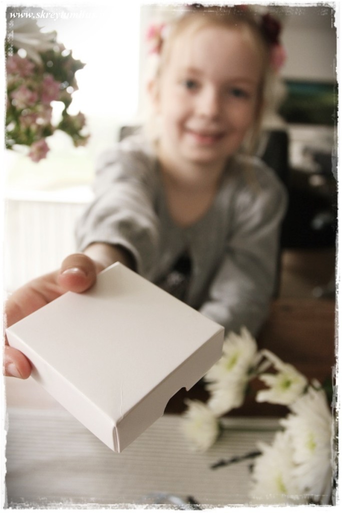 07-www.skreytumhus.is-006 (FILEminimizer)