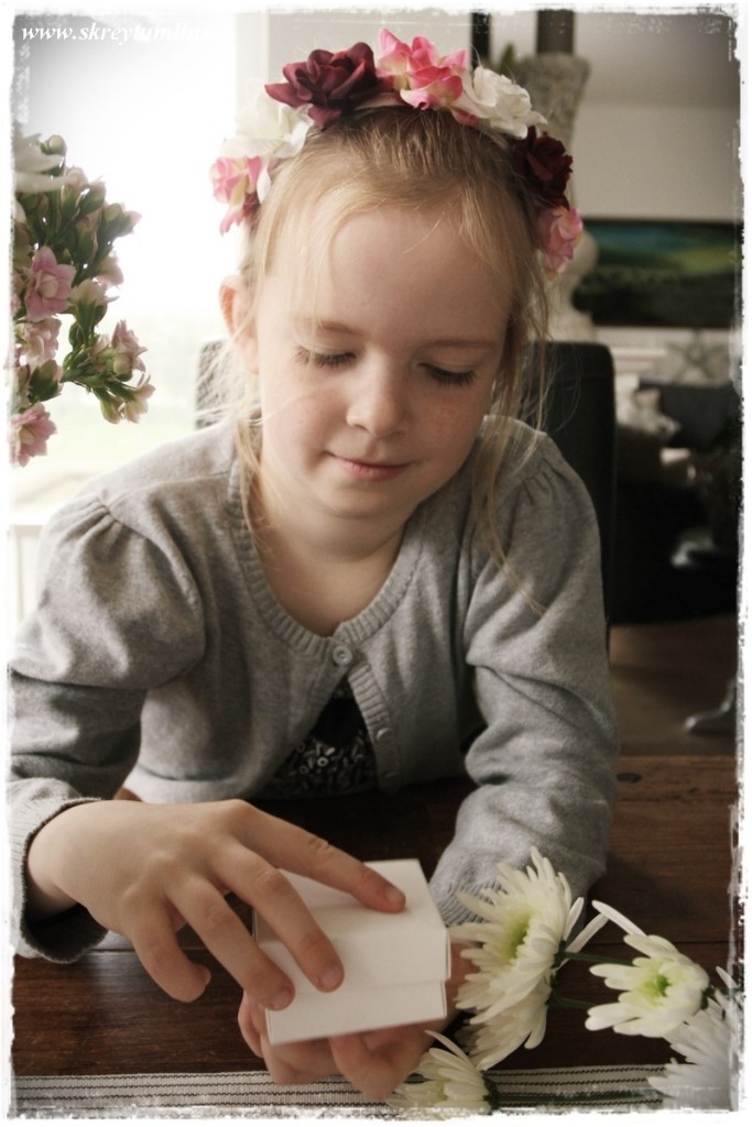 08-www.skreytumhus.is-007 (FILEminimizer)