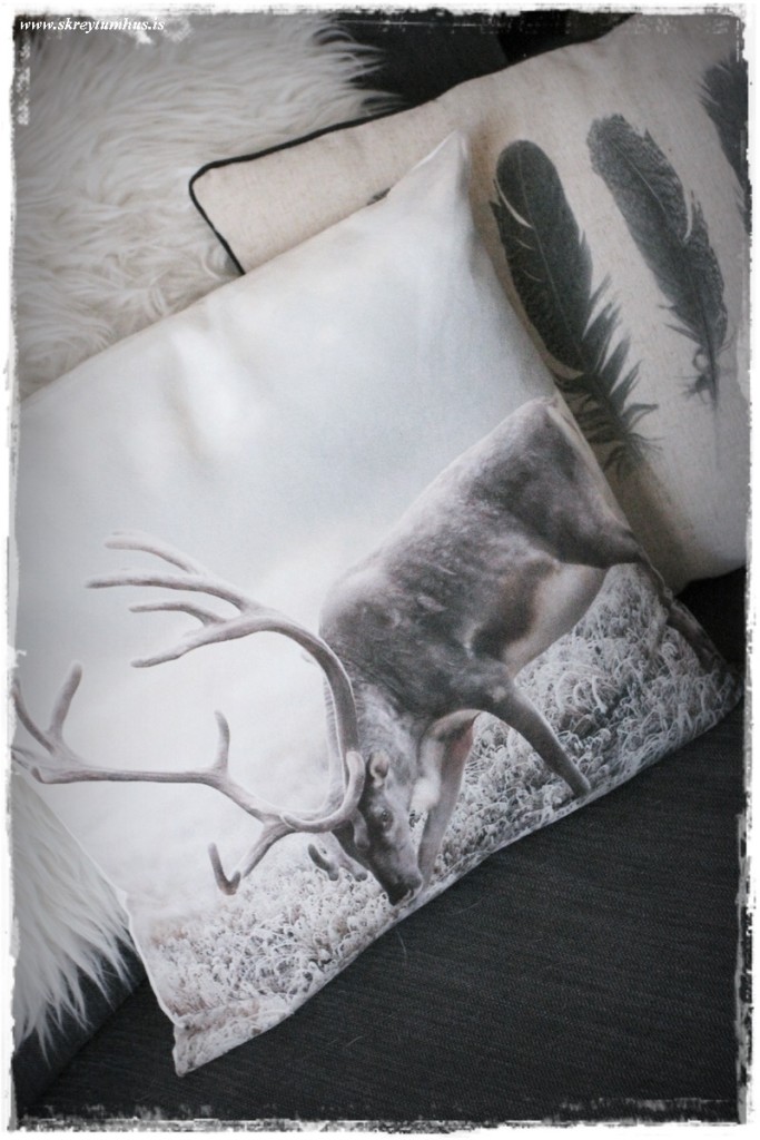 11-www.skreytumhus.is-002