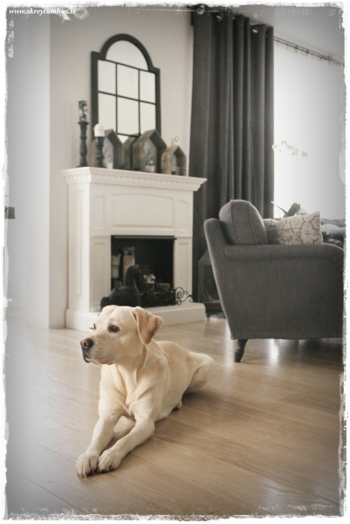 13-www.skreytumhus.is-004