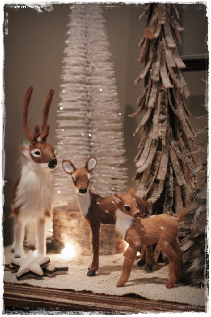 14-www.skreytumhus.is-012