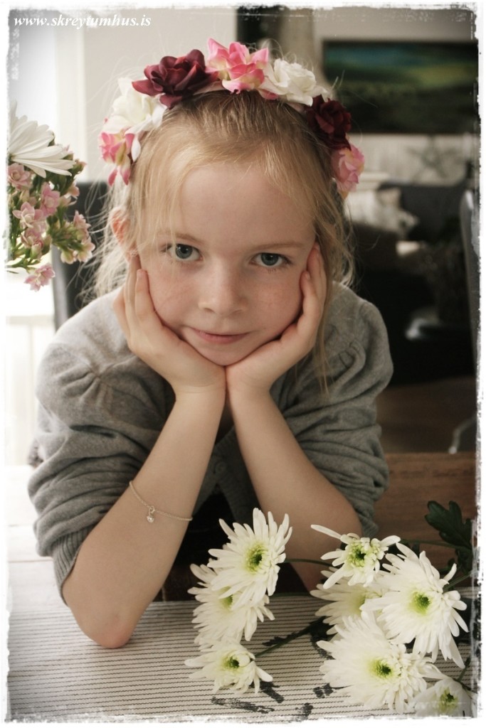 14-www.skreytumhus.is-013 (FILEminimizer)