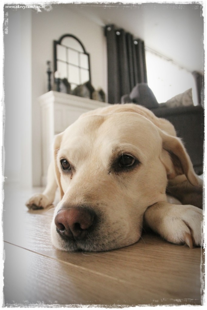 15-www.skreytumhus.is-006