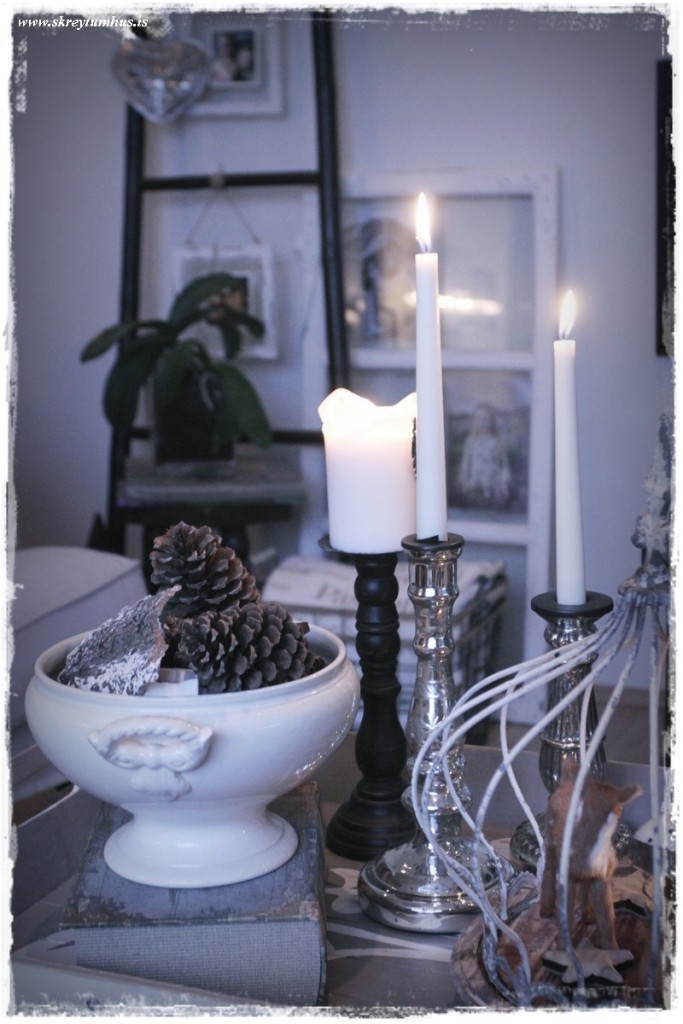 19-www.skreytumhus.is-037