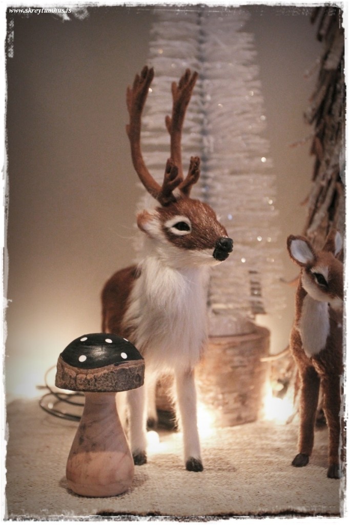 26-www.skreytumhus.is-009