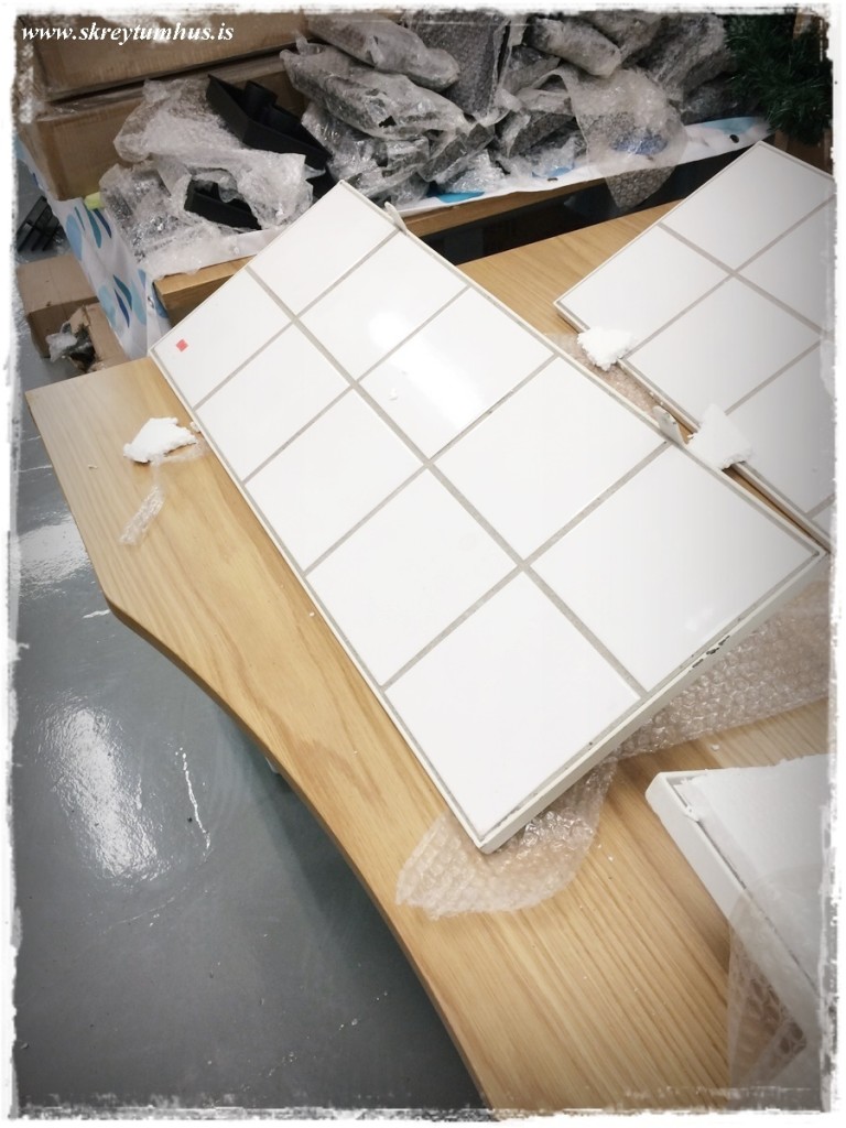 30-www.skreytumhus.is-029 (FILEminimizer)