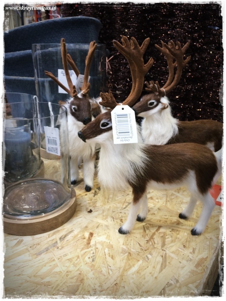 31-skreytumhus.is-030