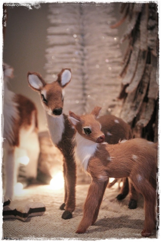 32-www.skreytumhus.is-015