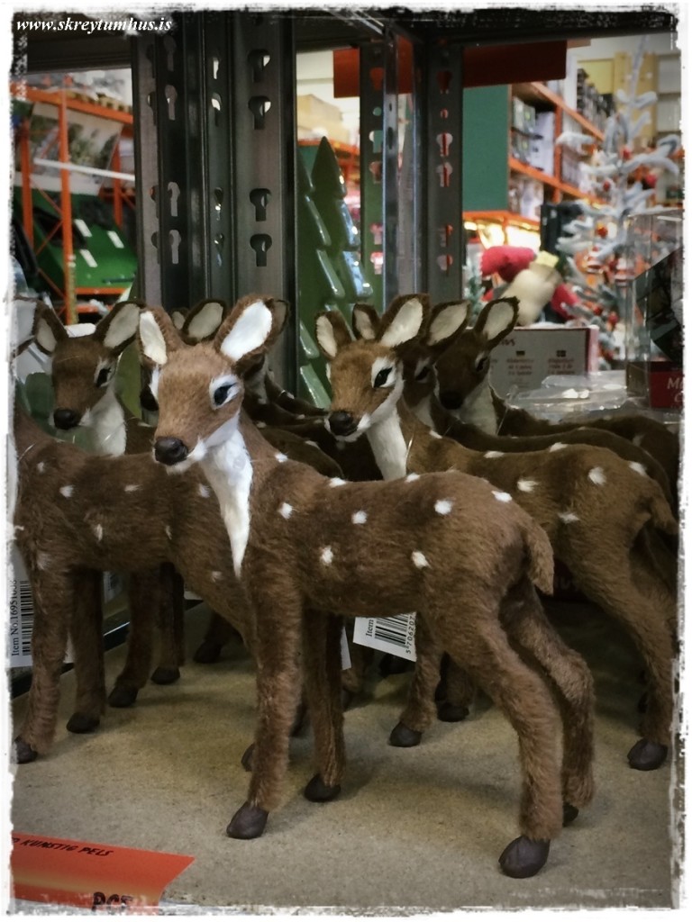 39-skreytumhus.is-038