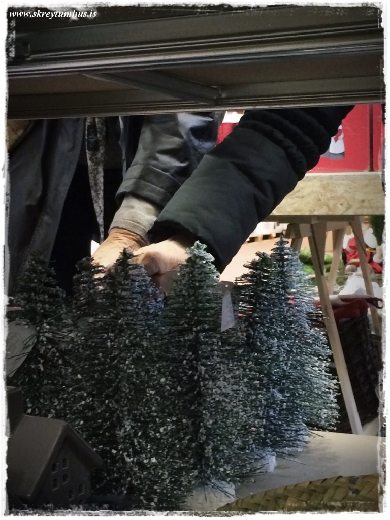 51-skreytumhus.is-050