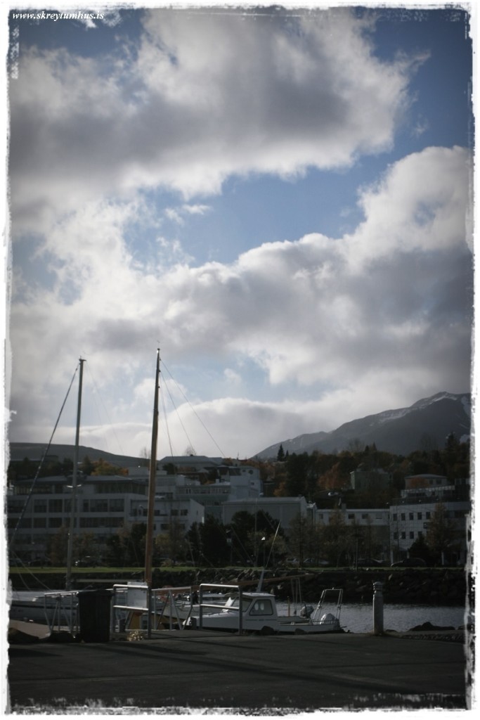 88-www.skreytumhus.is-090