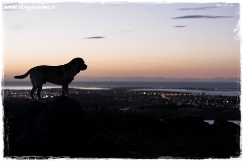 2005-10-20-182830_(IMG_9786)