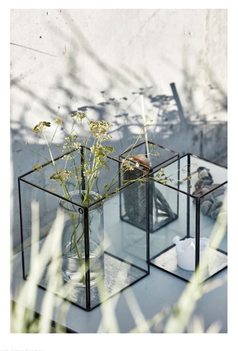 Fullscreen capture 12.1.2016 181928