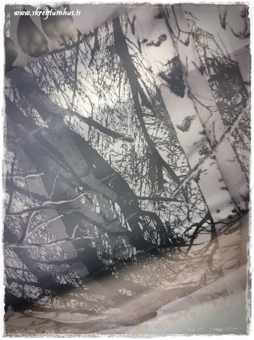www.skreytumhus.is-040