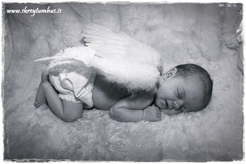 2006-02-27-164929_(IMG_1745)