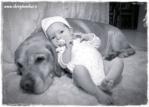 2006-02-27-183024_(IMG_1788)