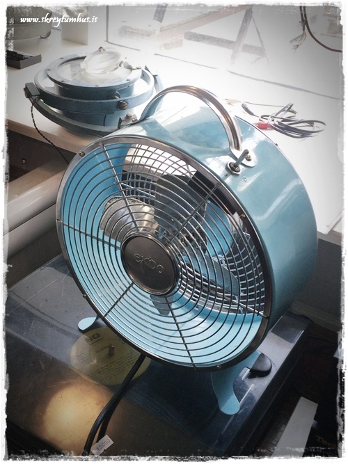 44-www.skreytumhus.is.is-056