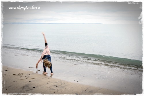 03-www.skreytumhus.is.is-023