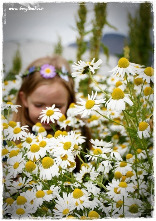 04-www.skreytumhus.is.is-064