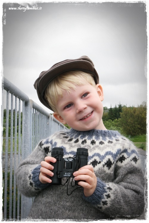 06-www.skreytumhus.is