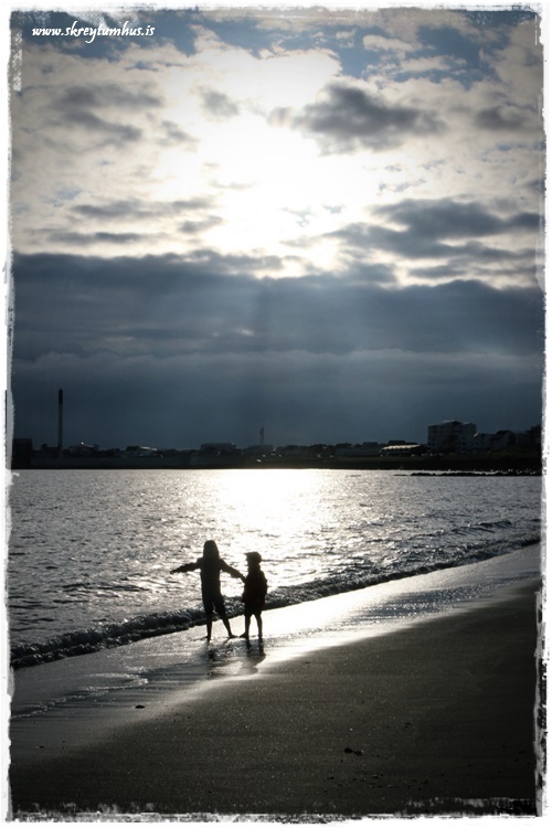 09-www.skreytumhus.is-004