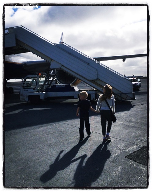 11-www.skreytumhus.is-002