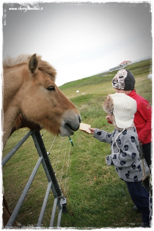 13-www.skreytumhus.is