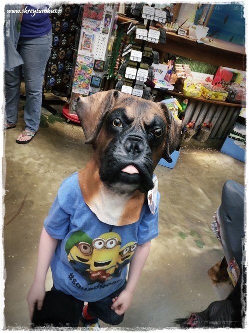 14-www.skreytumhus.is-013